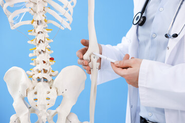 Doctor with human skeleton model on light blue background, closeup