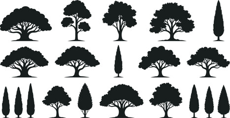 Tree silhouette vector set, black forest nature collection, oak cypress poplar illustration isolated on white background, garden plant icons, landscape design elements.
