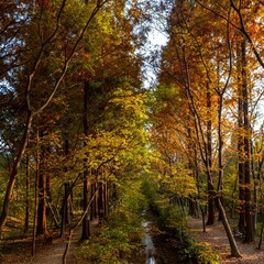 경주 천년정원숲에서의 하루