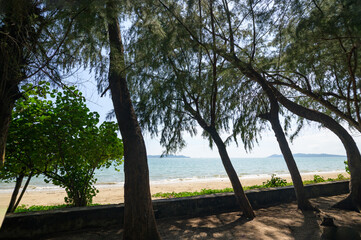 Fototapeta premium Serene Beach View Surrounded by Lush Trees in Rayong Province
