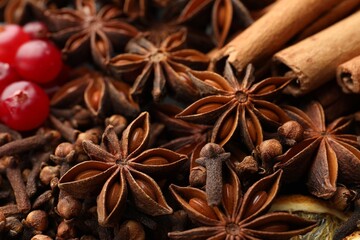 Different spices (anise, cloves, cinnamon) and cranberries for mulled wine, closeup