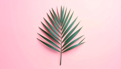 A single green palm leaf lies centered on a smooth, pink, gradient background