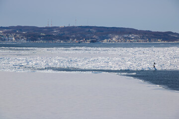 Sea of Okhotsk With drift ice in Abashiri, Hokkaido, Japan © ti1993