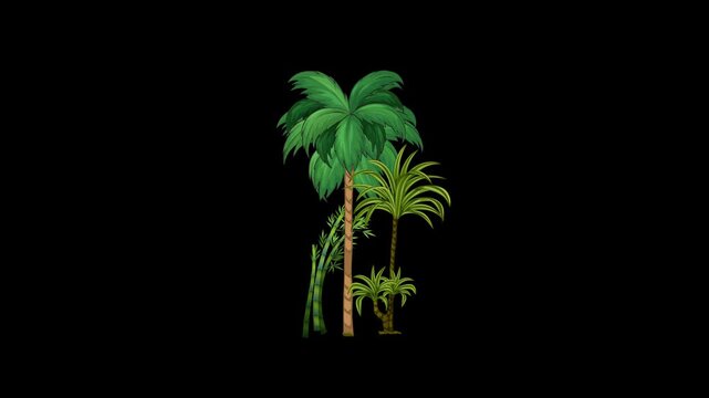 2d tropical tree animation swaying in the wind on a green background