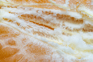Close-up macro photography of orange fruit texture,macro orange texture,Slice of citrus fruit with backlit, abstract macro photography sicilian blood orange fruit close up background