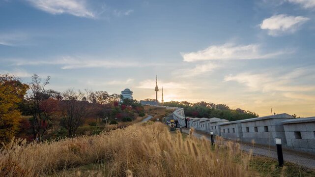 zooom in Namsan park at Autumn in South Korea. 