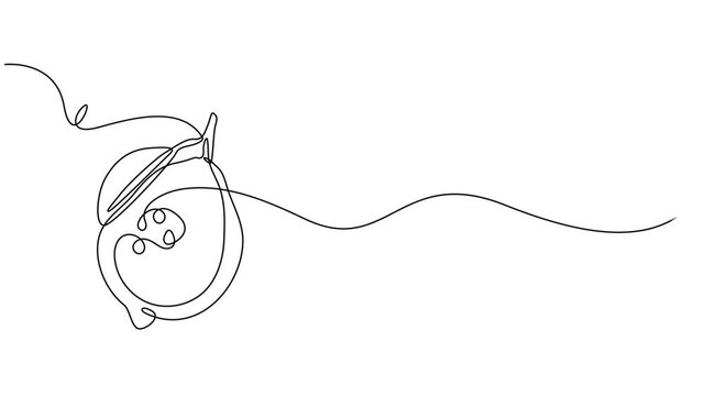 One line lemon animation. Continuous fruits and vegetables video. Natural, Self drawing simple animation of single continuous one line drawing of citrus fruit Lemon. Full length animation, Fresh lemon
