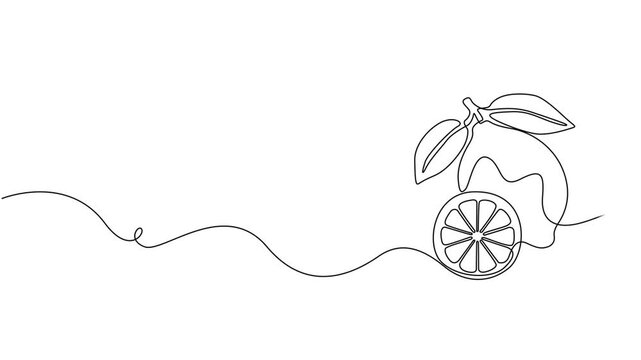 One line lemon animation. Continuous fruits and vegetables video. Natural, Self drawing simple animation of single continuous one line drawing of citrus fruit Lemon. Full length animation, Fresh lemon