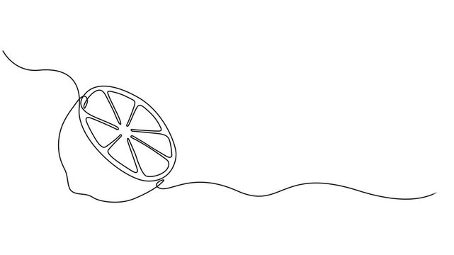 One line lemon animation. Continuous fruits and vegetables video. Natural, Self drawing simple animation of single continuous one line drawing of citrus fruit Lemon. Full length animation, Fresh lemon
