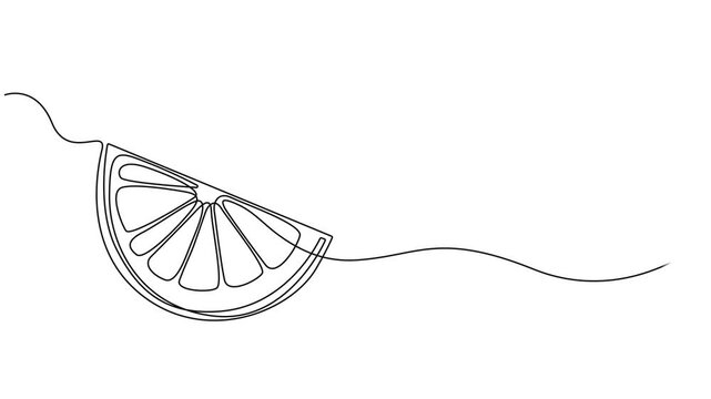 One line lemon animation. Continuous fruits and vegetables video. Natural, Self drawing simple animation of single continuous one line drawing of citrus fruit Lemon. Full length animation, Fresh lemon