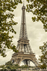 Eiffel Tower framed by vegetation in a vintage style - France