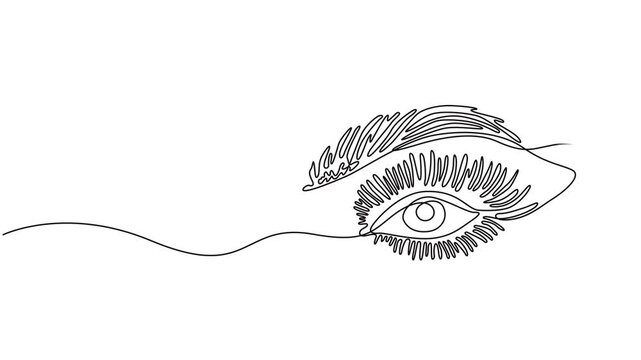 Self drawing line animation Human Eye continuous line drawn concept video, Self drawing line animation Female Eye, Element of the organ of vision. 4k video, full length one line animation. pro vector.