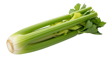 Fresh Green Celery Stalks with Leaves on Black Background