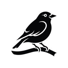 Bird silhouette perched on a branch isolated on white background isolated on transparent background