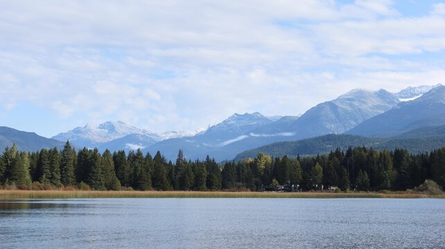 pine trees lined up on the opposite side of the lake in Rainbow Park, Whistler, British Columbia, Canada on a good weather blue sky day and snow on mountain
