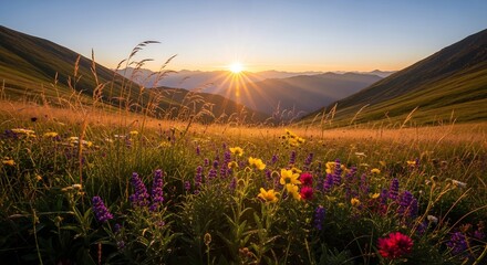 Golden hour in the mountains - A vibrant meadow at sunset.