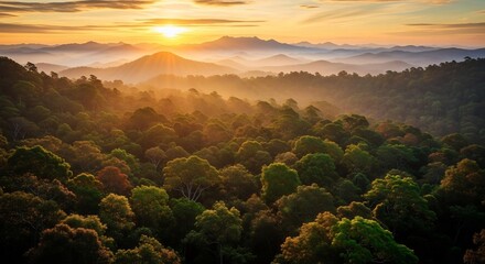 Golden Sunrise Over Lush Green Forest and Distant Mountains.