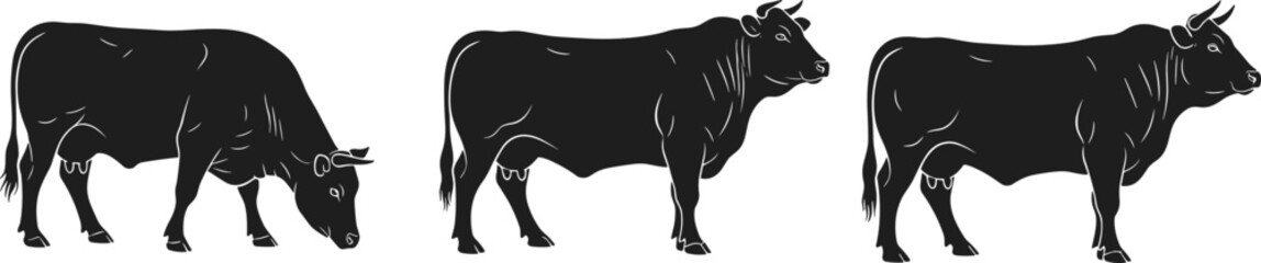 Set of black cow silhouettes, grazing and standing cattle, farm animal vector collection, agriculture symbol, bull illustration.