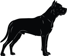 Cane Corso dog silhouette, strong guard dog standing, black vector illustration, pet animal profile, Pitbull terrier art, isolated symbol.