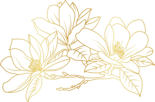 Golden magnolia flowers line art isolated on white background. Luxury magnolia floral design elements for invitation, wedding, wallpaper, print template, vector illustration