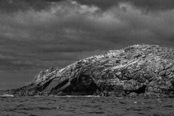 Dramatic Black and White Photo of a Rugged New Zealand Island