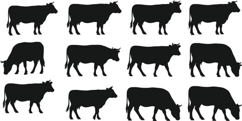 Silhouette of cows in various poses on white background