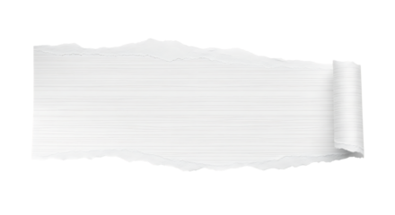 Ripped paper with curled edge