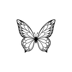 Butterfly a delicate insect with intricate wing patterns presented as a graphic illustration isolated on white background isolated on transparent background