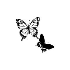 Butterfly two butterflies one large and detailed the other smaller and silhouetted flying in a dynamic composition isolated on white background isolated on transparent background © Pixel Forge Studio