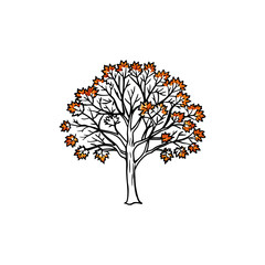 Obraz premium Vector illustration of an autumn tree silhouette with colorful fall leaves, a perfect design symbol for nature season decoration