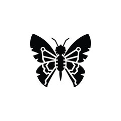 Butterfly silhouette with intricate wing patterns isolated on white background isolated on transparent background