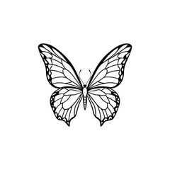 Butterfly a delicate insect with intricate wing patterns presented as a clean line art illustration isolated on white background isolated on transparent background