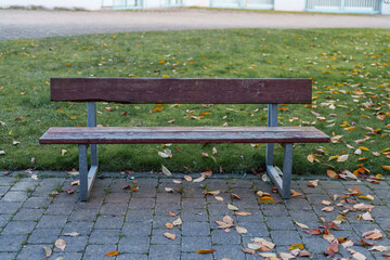 Bench on a stone path surrounded by fallen leaves in a green park during autumn afternoon