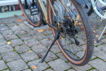 Bike parked on pavement with stand in place, surrounded by fallen leaves in an urban area during autumn