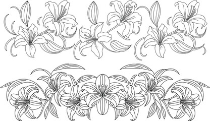 Elegant lily flower border line art illustration featuring decorative floral pattern, botanical outline design for coloring pages, invitations and nature themed artwork