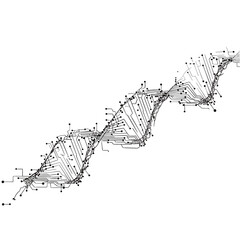A detailed abstract DNA helix formed from electronic circuit lines, symbolizing technology, genetics, AI, and biotechnology innovation. Clean, modern vector design