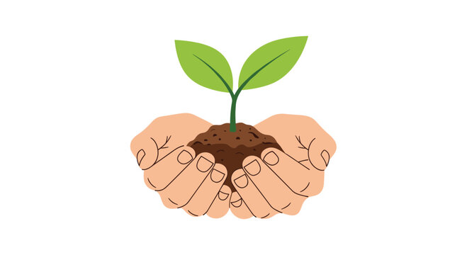 A pair of hands gently holding a small green sprout growing in a handful of soil for an ecology and growth concept.