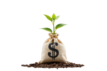 Business growth financial concept with money bag and plant symbolizing investment and profit increase