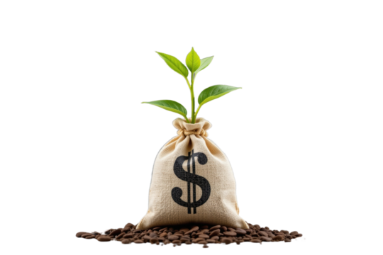 Business growth financial concept with money bag and plant symbolizing investment and profit increase