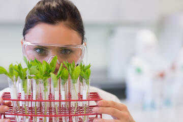 Adult female scientist in lab coat goggles holding red tube rack inspecting plant cuttings in lab