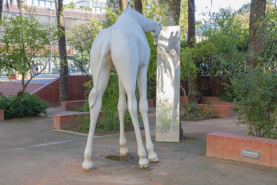 Giraffe sculpture fernanda fragateiro reflecting in mirrored panel