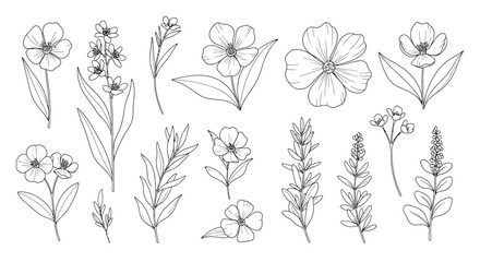 Obraz premium Elegant floral outline elements for creating feminine designs