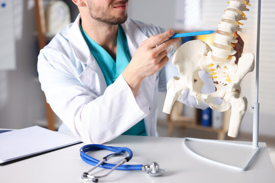 Doctor with human spine model in hospital, closeup - Powered by Adobe