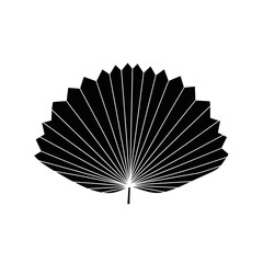 A Stylized Fan Palm Frond Silhouette in Sleek Modern Graphic Style for Logos (2).