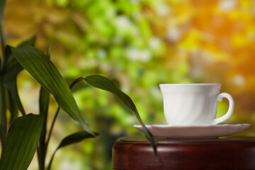 White cup of coffee or tea on a wooden table over blurred tree with sun lighting.