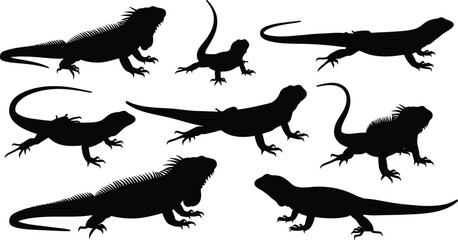 Lizard silhouette vector, reptile pose collection, black animal shape, iguana gecko artwork, wildlife design, exotic creature illustration, nature reference