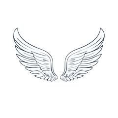 Obraz premium Wing icon graphic design in linear outline style