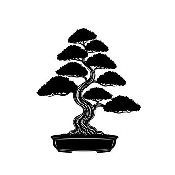 An elegant black vector silhouette of a formal upright bonsai tree (2).