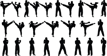 Martial, arts, silhouette, kick, punch, stance, fighter, training, karate, taekwondo, movement, action, black, figure, pose, discipline, sparring, strength, agility, defense