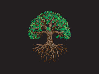 Olive Tree. Extra virgin olive oil symbol. Symbol of culture and Mediterranean food isolated on black background